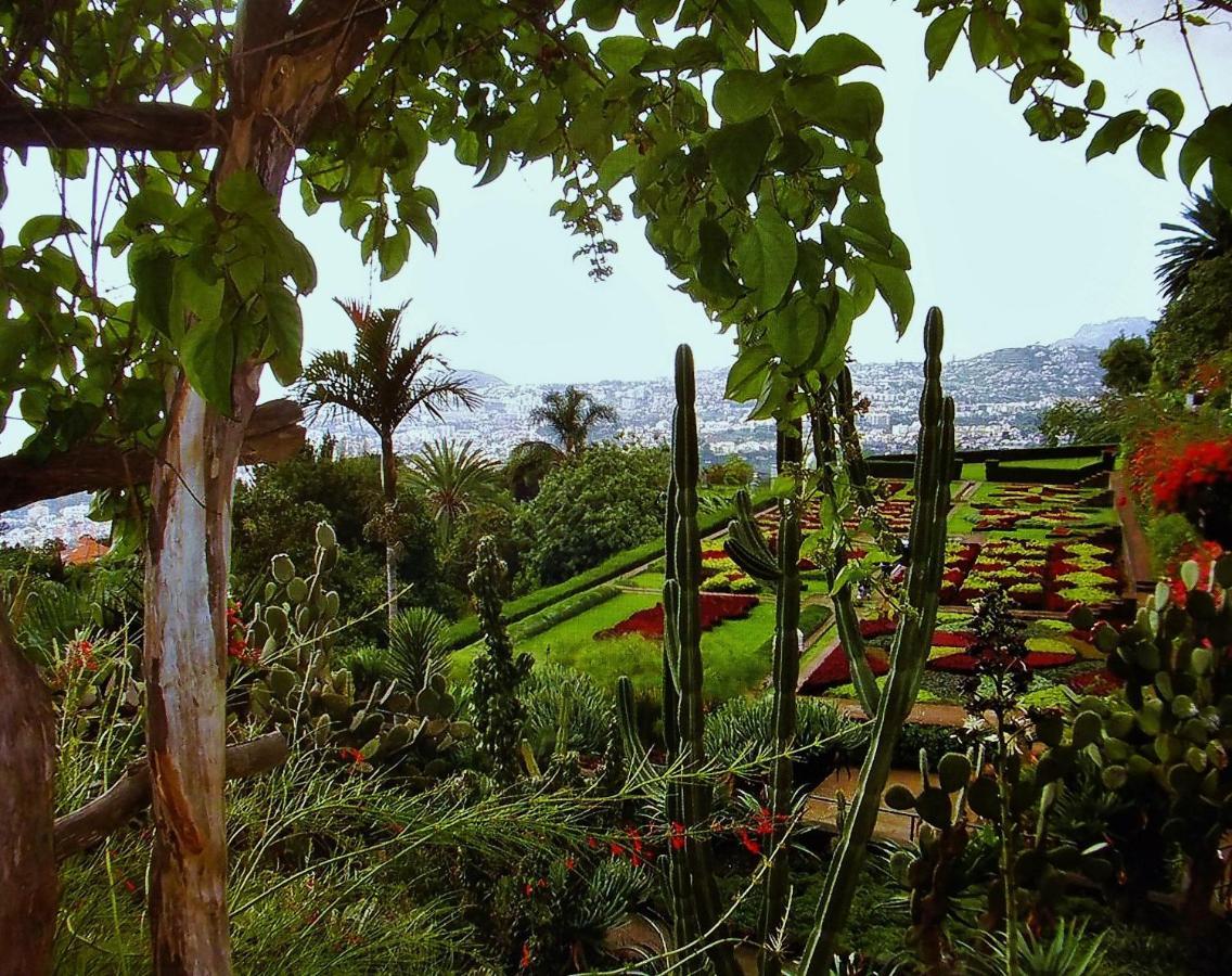 Apartment - The Historical Center Of Funchal In Alojamento Local Екстер'єр фото
