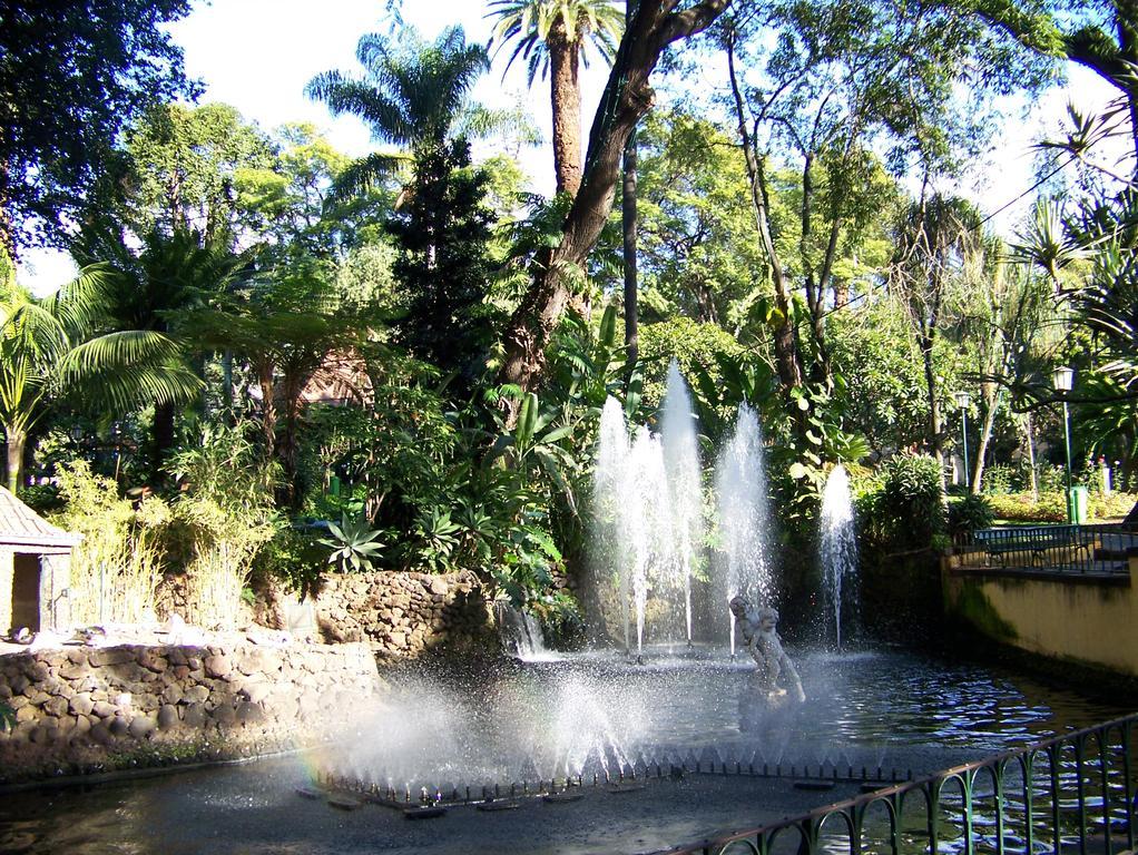 Apartment - The Historical Center Of Funchal In Alojamento Local Екстер'єр фото