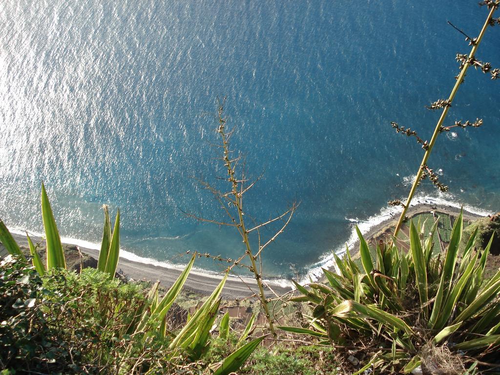 Apartment - The Historical Center Of Funchal In Alojamento Local Екстер'єр фото