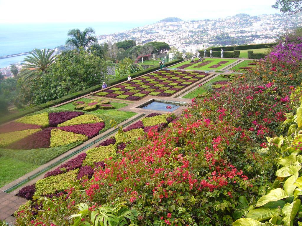Apartment - The Historical Center Of Funchal In Alojamento Local Екстер'єр фото