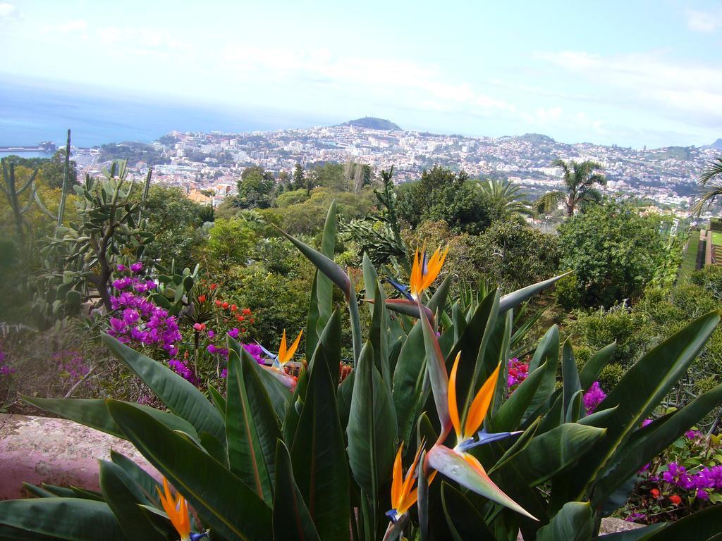 Apartment - The Historical Center Of Funchal In Alojamento Local Екстер'єр фото