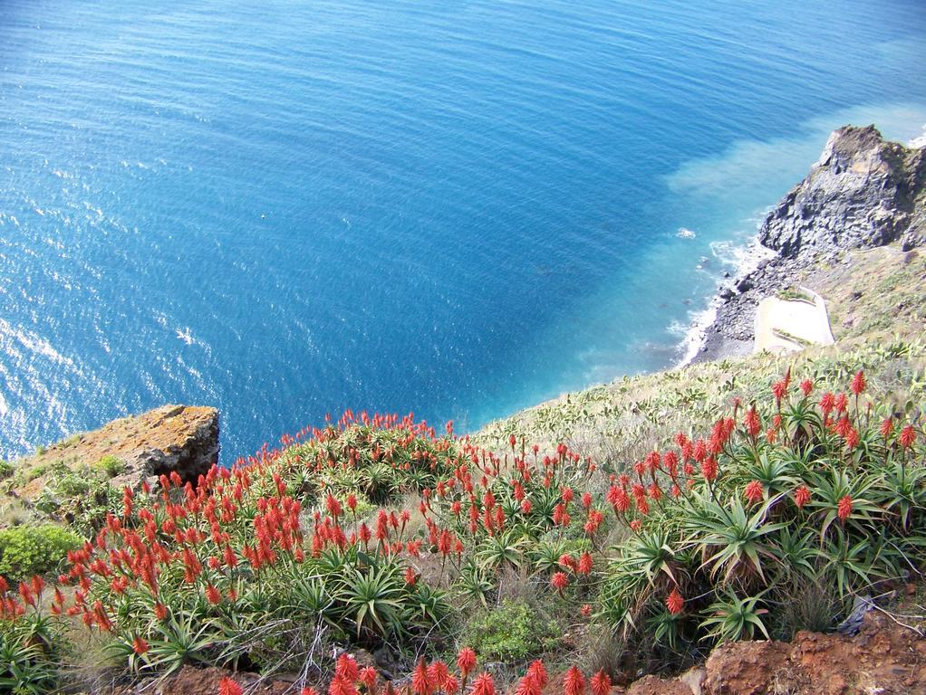 Apartment - The Historical Center Of Funchal In Alojamento Local Екстер'єр фото