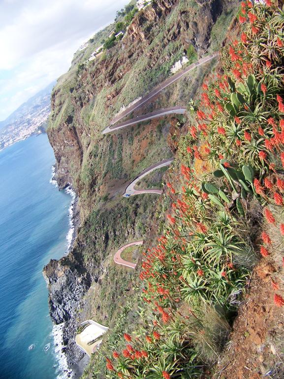Apartment - The Historical Center Of Funchal In Alojamento Local Екстер'єр фото