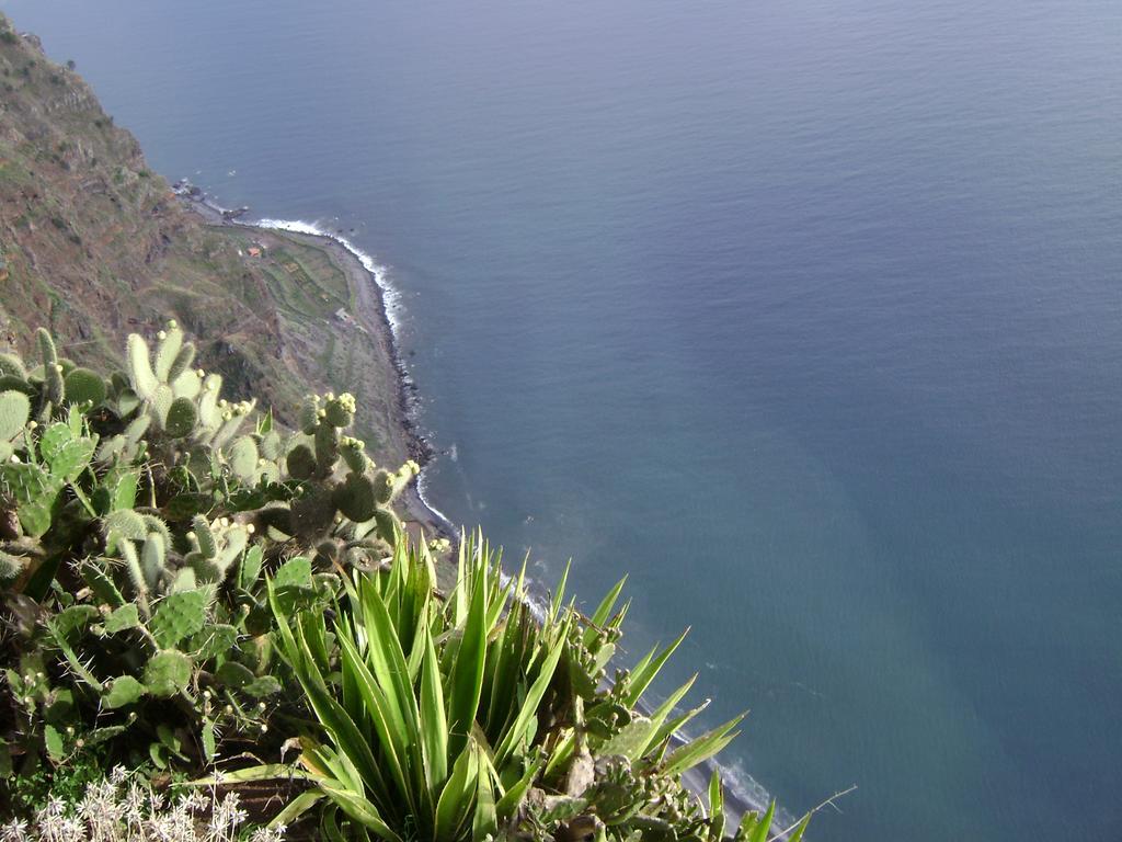 Apartment - The Historical Center Of Funchal In Alojamento Local Екстер'єр фото